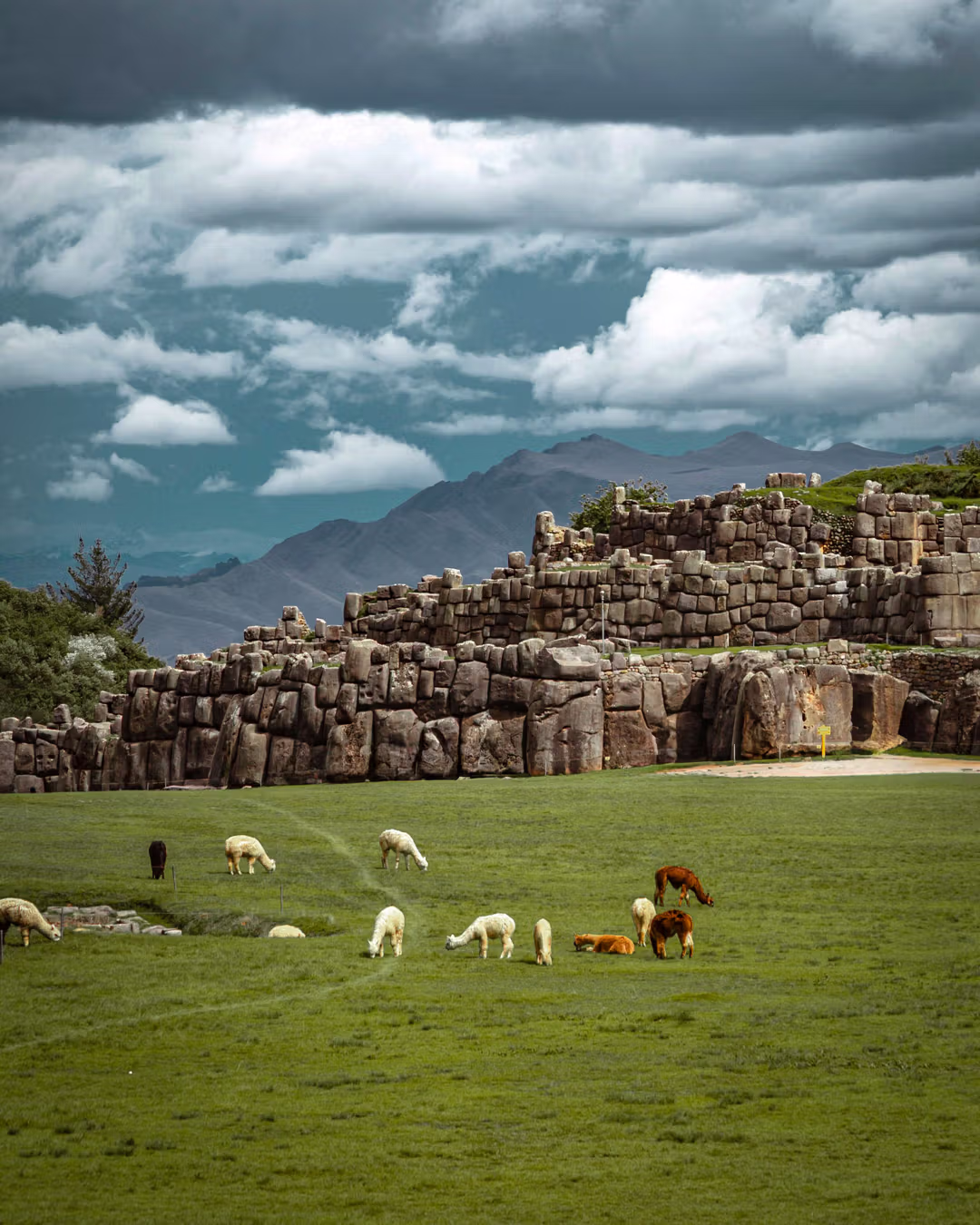 Disfruta del Perú con tu Alquiler de Auto en Avis